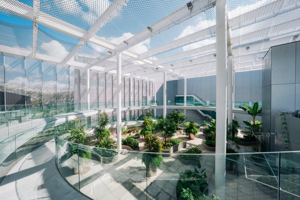 阮英俊「無界花園」於綠美圖生根 以植栽浮島串起移民記憶與多元文化共生